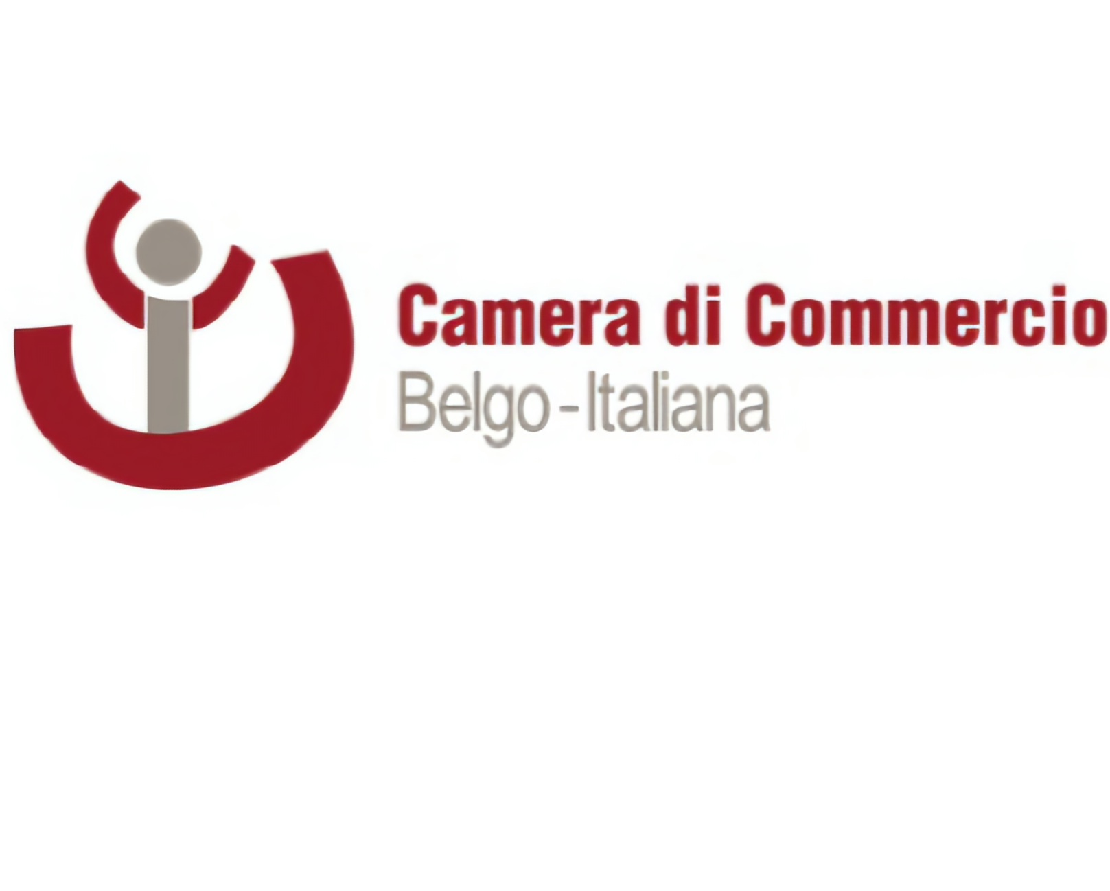 Camera di Commercio Belgo Italiana